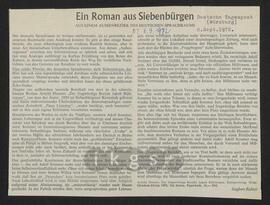 Materialsammlung: Rezensionen zu Werken Dritter von Dritten - Arnold Hauser: Der fragwürdige Bericht Jakob Bühlmannsn